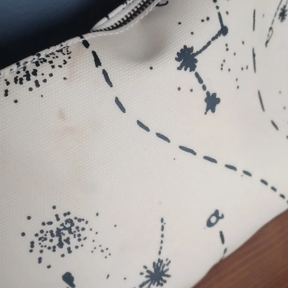 Madewell cosmetic bag